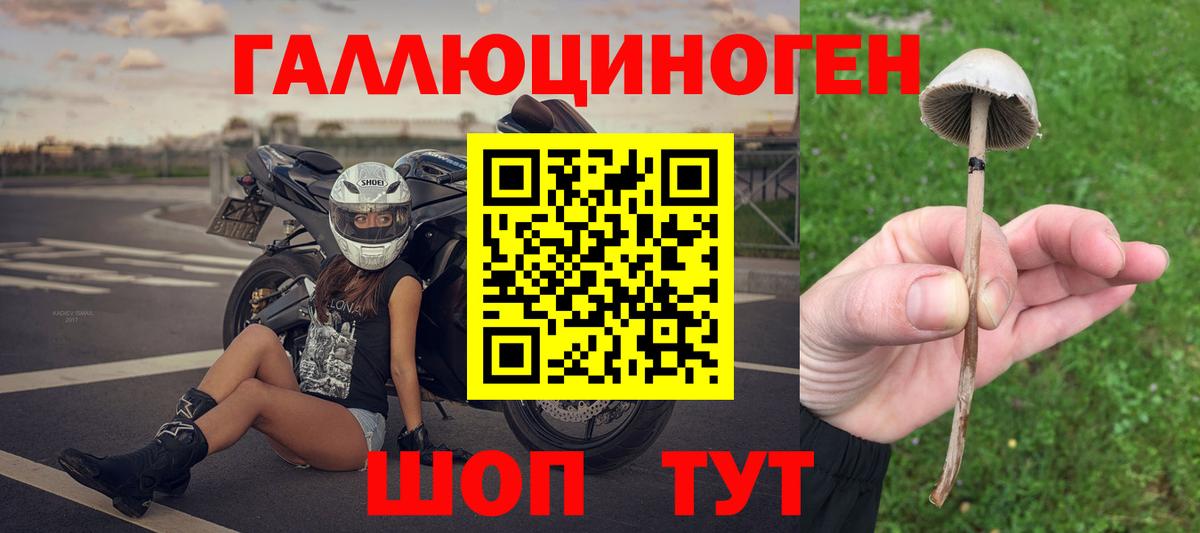 Рязань  сколько стоит  Вход с VPN  Галлюциногенные грибы прущие грибы 